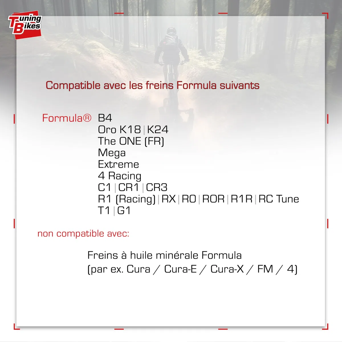 TB Kit de Purge pour Freins à Disque Formula - kit de Purge avec Liquide de Frein DOT4 - pour Freins de vélo